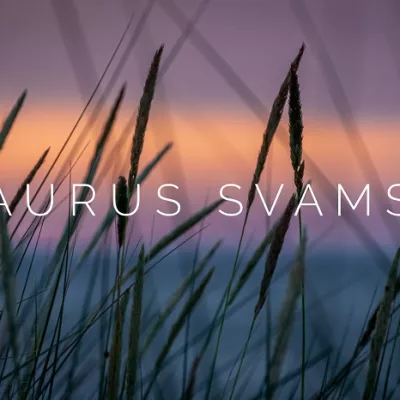 Meaning of Taurus Svamsa