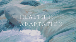 health is adaptation