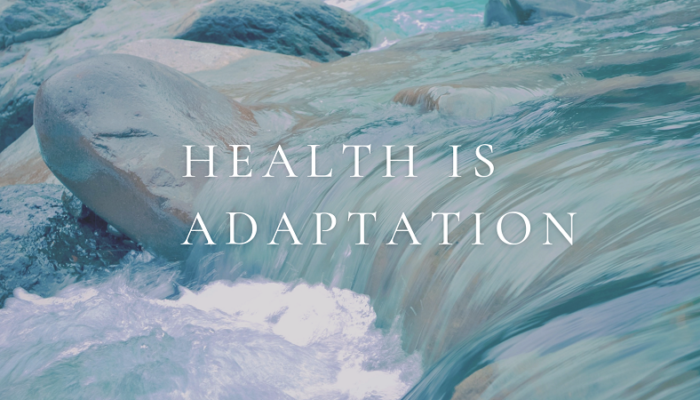 Health is Adaptation